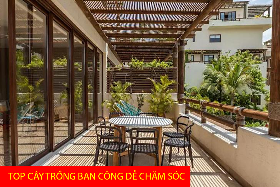 /cam-nang/top-cay-trong-de-cham-soc-tren-ban-cong